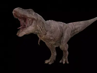 Tyrannosaurus - T-rex Dinosaur Low-poly 3D model