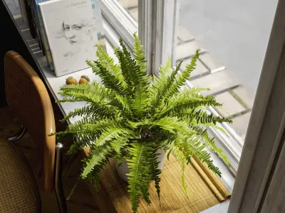  Boston Fern Potted Plant Model 