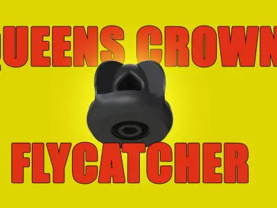 Queens Crown Flycatcher Free 3D print model