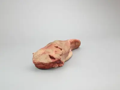 Raw Pig Tongue Low-poly 3D model