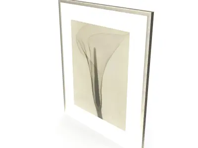 Dain Tasker Photography XRay Of Lily Free 3D model