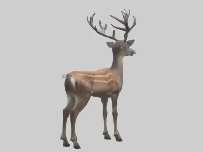 Sika deer Low-poly 3D model