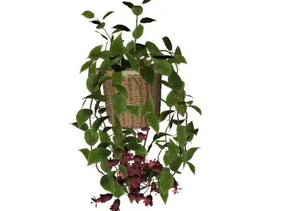 Flowers baskets plants Low-poly 3D model