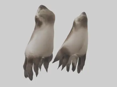 Otter Paws Low-poly 3D model