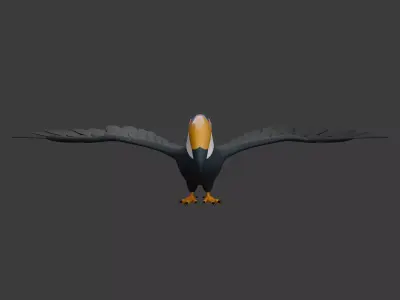 Toucan cartoon 3D model