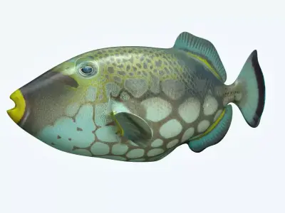 Trigerfish fish flying in sky 3D model