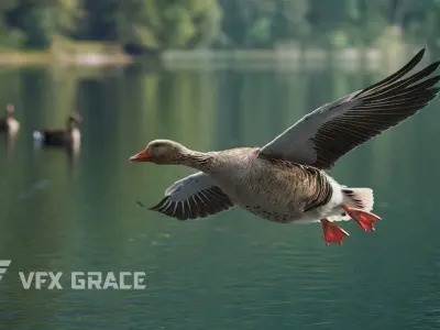 Goose Animation VFX Grace 3D model