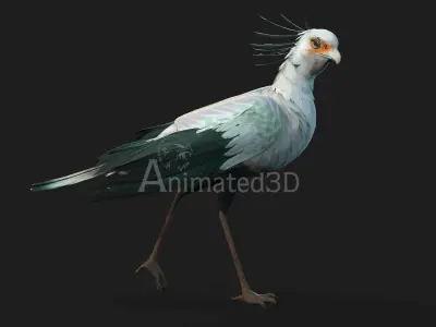 SecretaryBird A2 3D model