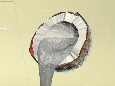 Coco and coco party on scene 3D model