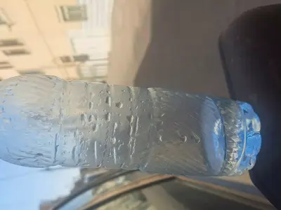 Imani 3D print model