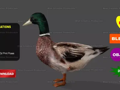 DUCK MALE ANIMATED Low-poly 3D model