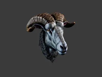 Deer Animal Head Low-poly 3D model