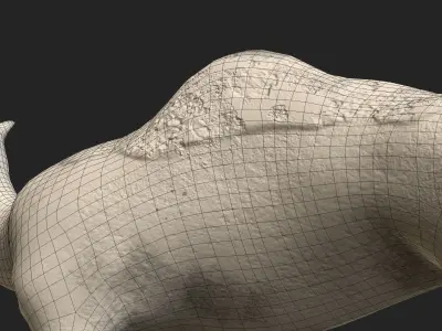 Camel Low-poly 3D model