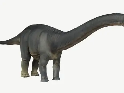 Apatosaurus dinosaur Low-poly 3D model