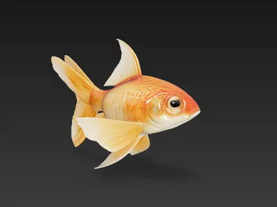 Goldfish 3D Model Basic - Low Poly Simple Low-poly 3D model