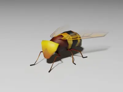 Insects Pack - Low Poly 3D model