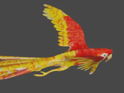 scarlet macaw 3D model