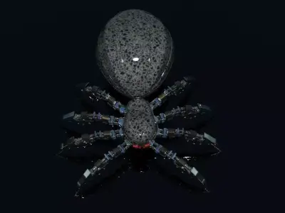 Spider 3D model 36