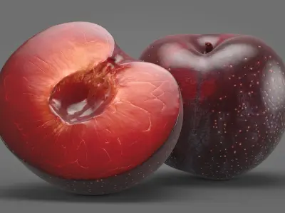 Plum 01 3D model