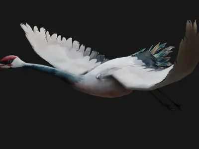 Pack-03-Bird Family 3D model