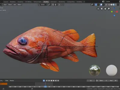 Red Fish 3D model