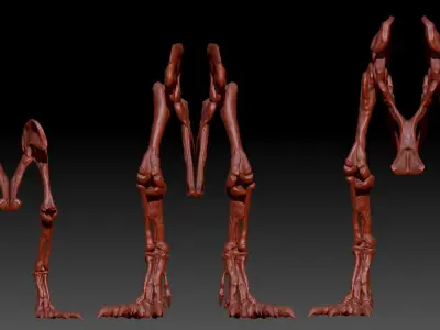 Dinosaur Spinosrs Tyrannosaurus Giganotosaurus HipLeg Skeletons 3D model