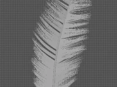 Feather palm leaf Free 3D model