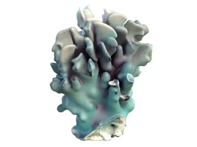 Coral reef collection 11-20   Low-poly 3D model