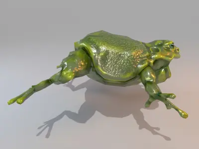 Anuran frog Low-poly 3D model