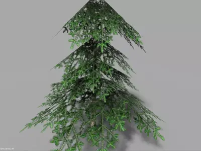 low poly pine 1 tree Low-poly 3D model