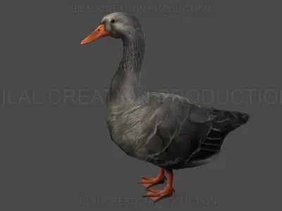 DUCK GRAY ANIMATED Low-poly 3D model