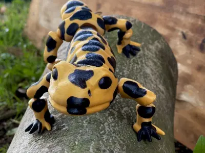 Movable figure of the salmander toy print in place body Free 3D print model