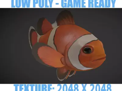  Clown Fish Low-poly 3D model