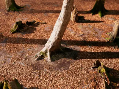 European Beech 06 3D Scanned Animated 3D model