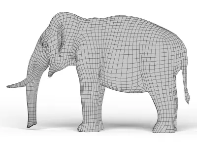 Elephant Base Mesh Low-poly 3D model