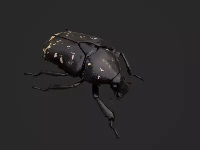 Spotted Chafer Beetle Protaetia brevitarsis Low-poly 3D model