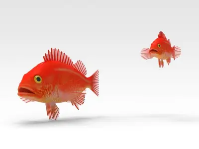 GoldFish orange fish 3D model