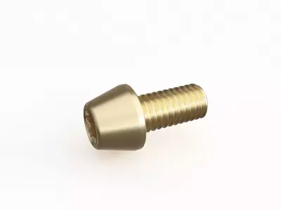 Screw 72 3D model