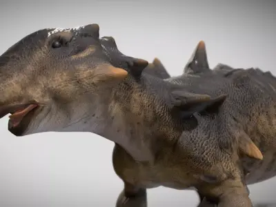 Euoplocephalus Low-poly 3D model