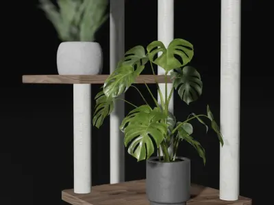 Modern  Plants Stand Free 3D model