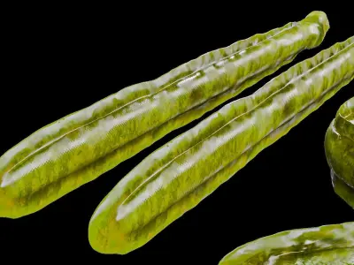 Sea Snake Low-poly 3D model