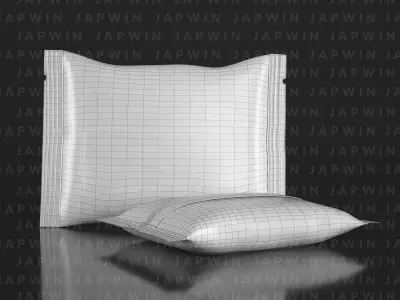 Center Seal Pouch Packaging 3D model