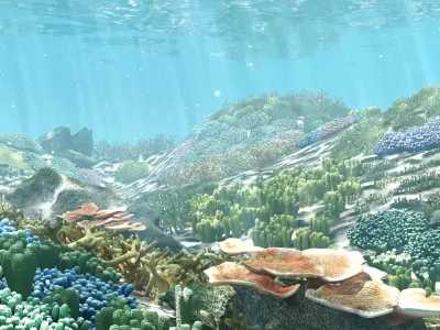 3D Cartoon Underwater Coral Reef Habitat Ocean Version 2 Low-poly 3D model