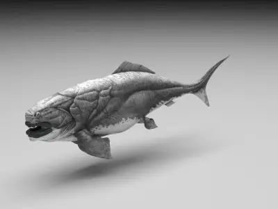 Dunkleosteus 3D model