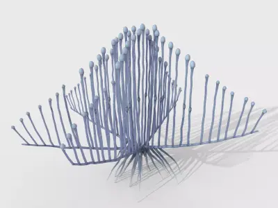 Lyre Sponge 3D model