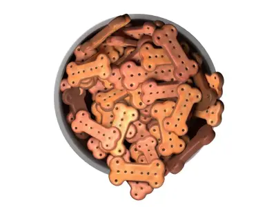 Dog food bowl 2 Low-poly 3D model