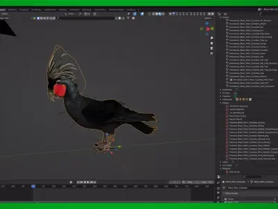 Black Palm Goliath Cockatoos Bird Low-poly 3D model