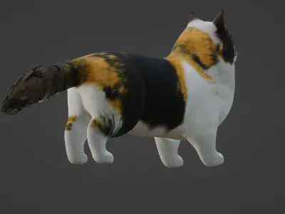 Cat Rigged 3D model