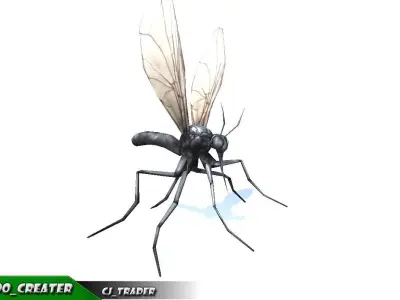 Low-Poly Mosquito Rigged Animated 3d model Low-poly 3D model
