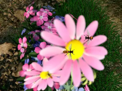 Bee Honey Movie 3D Model 3D model